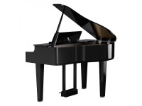 <b>Piano cauda digital eletrónico Roland GP-6 PE Preto Polido design acabamentos luxuosos BEST-SELLER</b> <b>Piano cauda digital eletrónico Roland GP-6 PE Preto Polido design acabamentos luxuosos BEST-SELLER</b>
